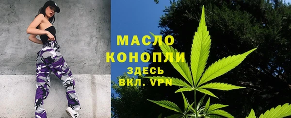 дмт Алзамай