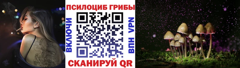 Псилоцибиновые грибы мицелий  наркотики  blacksprut сайт  Подпорожье 