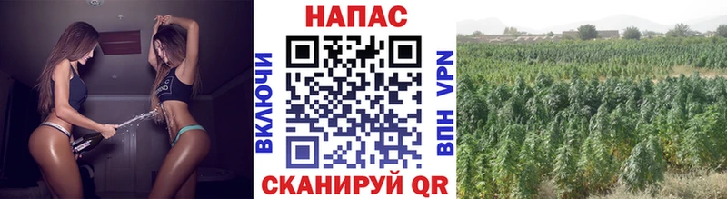 МАРИХУАНА тримм Подпорожье